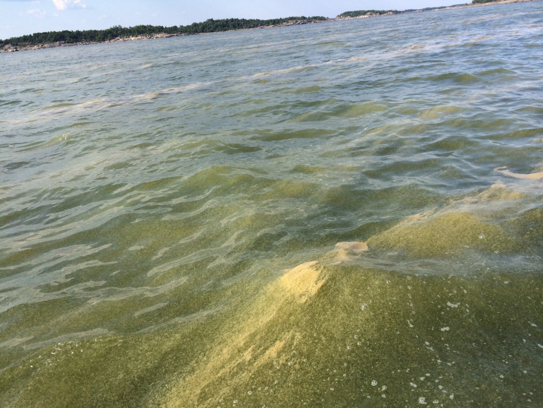 Heinäkuun helteillä sinileväkukinnat olivat Saaristomerellä pahimmillaan.